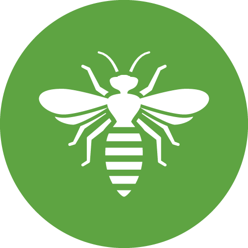Services | Northdowns Pest Control Ltd | Pest control Guildford | Rodent control Guildford, Woking | Wasp nest removal Surrey