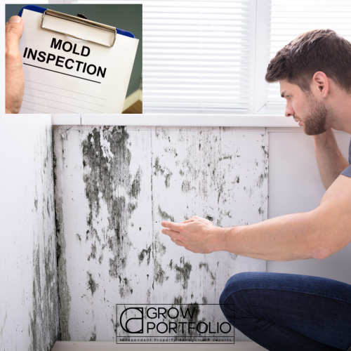 Selling a Home with Mold: A Comprehensive Guide including Steps, Considerations, and Solutions