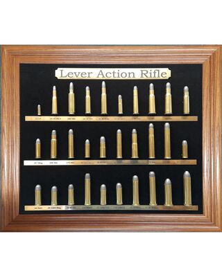 Lever Action Rifle Display