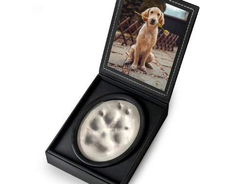 Lasting Impression Set