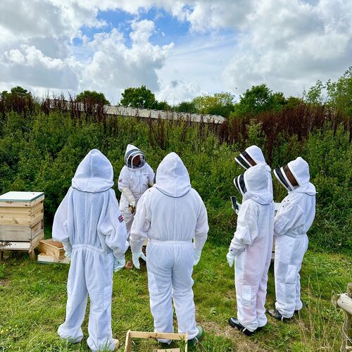 Gallery | East Anglia Apiaries | Raw honey | Local honey | Natural Honey