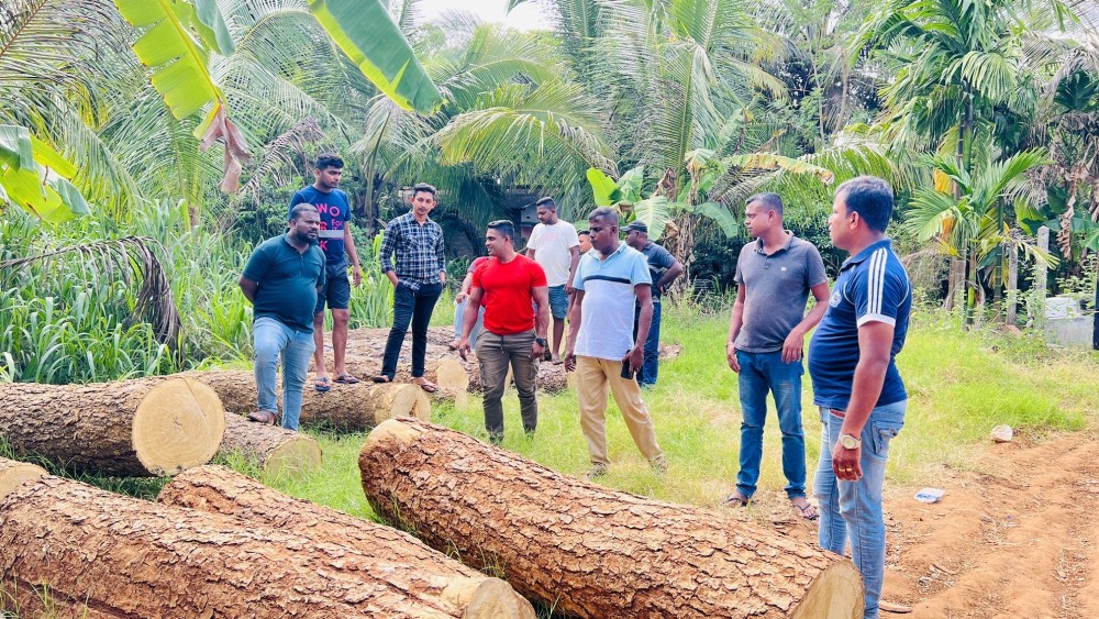 சட்டவிரோதமாக வெட்டப்பட்ட மரக்குற்றிகளுடன் ஒருவர் கைது