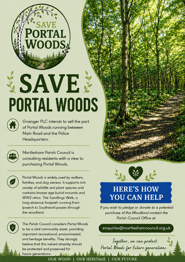 Portal Woodlands Campaign Poster