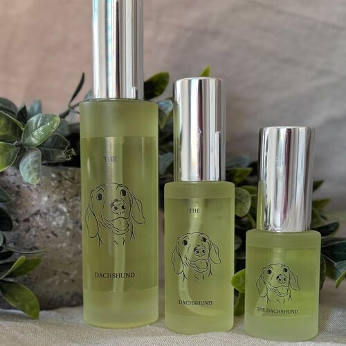 The Dachshund Room/Upholstery Spray