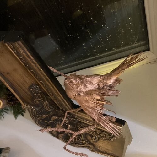 Golden Taxidermy Art Work.