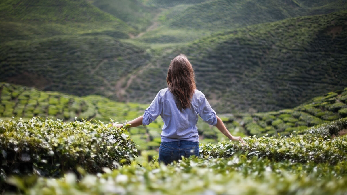 Things To Do | Peacock Tours  | Sri Lanka Luxury Holidays | India Luxury Holidays | Seychelles Luxury Holidays