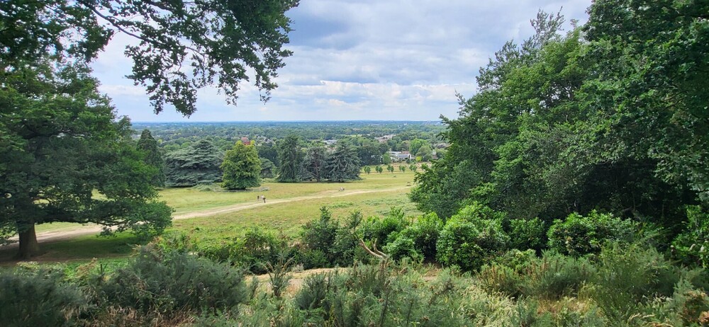 Barnes to Richmond, Sunday 15th June