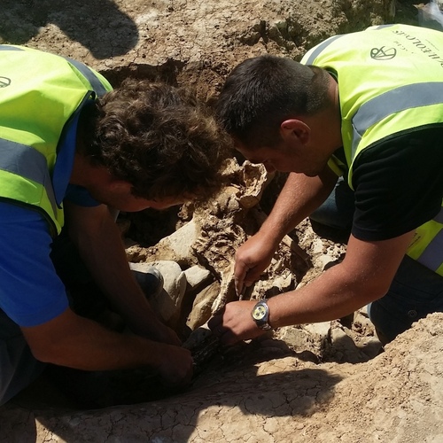 Archaeological Services Wales, Archaeological Contractor Midlands, Local Archaeologist