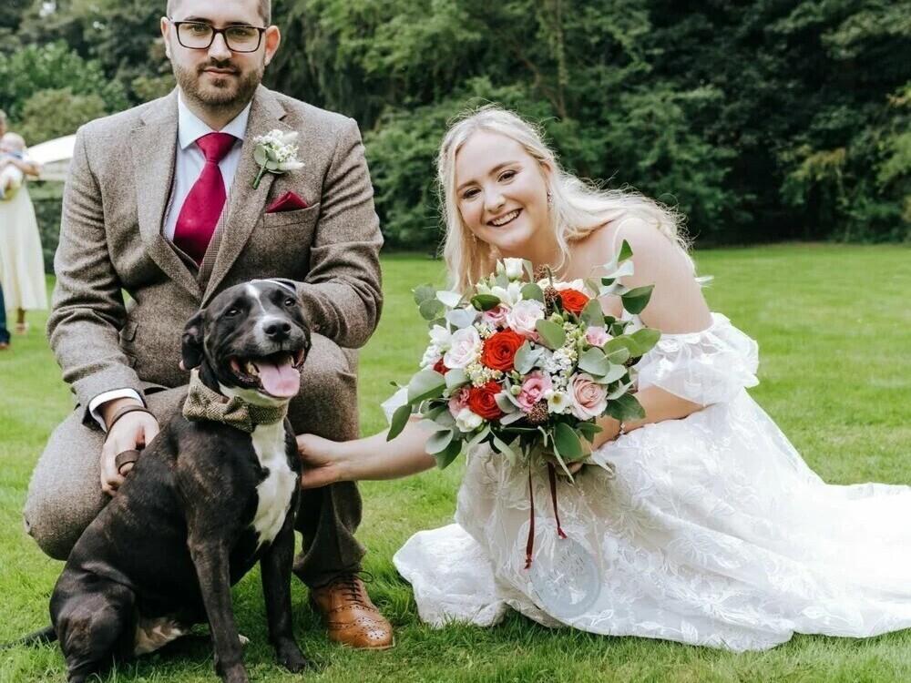 Our Services | Tails Of Love | Wedding dog chaperone Suffolk | Dog Chaperone for weddings in Suffolk  | Include Your Dog in Your Wedding Day