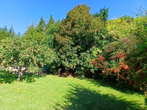 Late Summer in Oxfordshire 2026