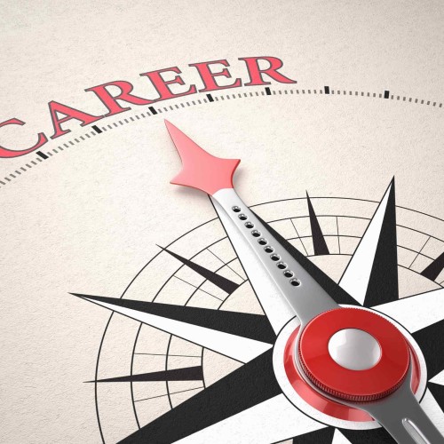 From First-Line Support to Specialist: Mapping Out a Long-Term IT Career