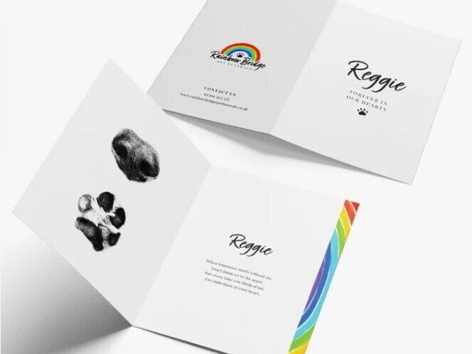 Paw & Nose Print Keepsakes