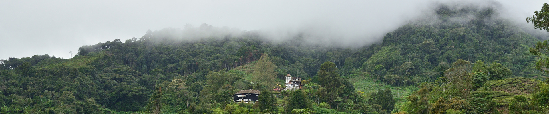 Travel Guides | Peacock Tours  | Sri Lanka Luxury Holidays | India Luxury Holidays | Seychelles Luxury Holidays
