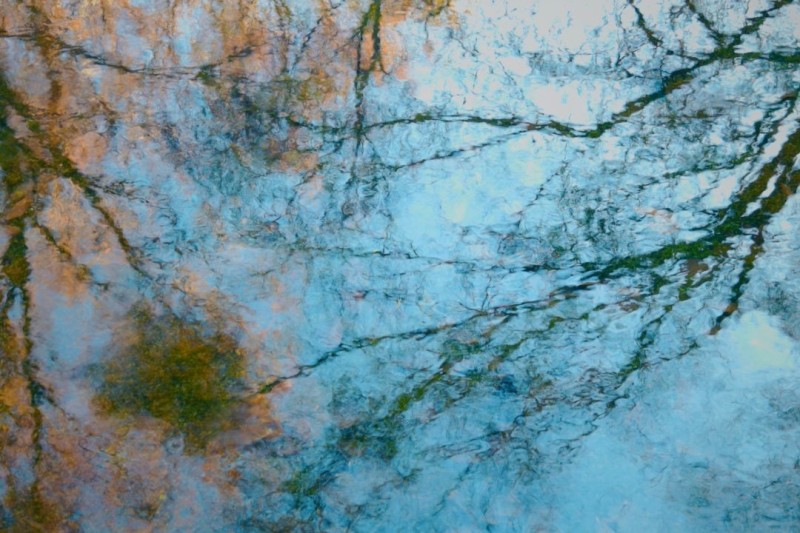 Trauma Focused CBT (TF-CBT)