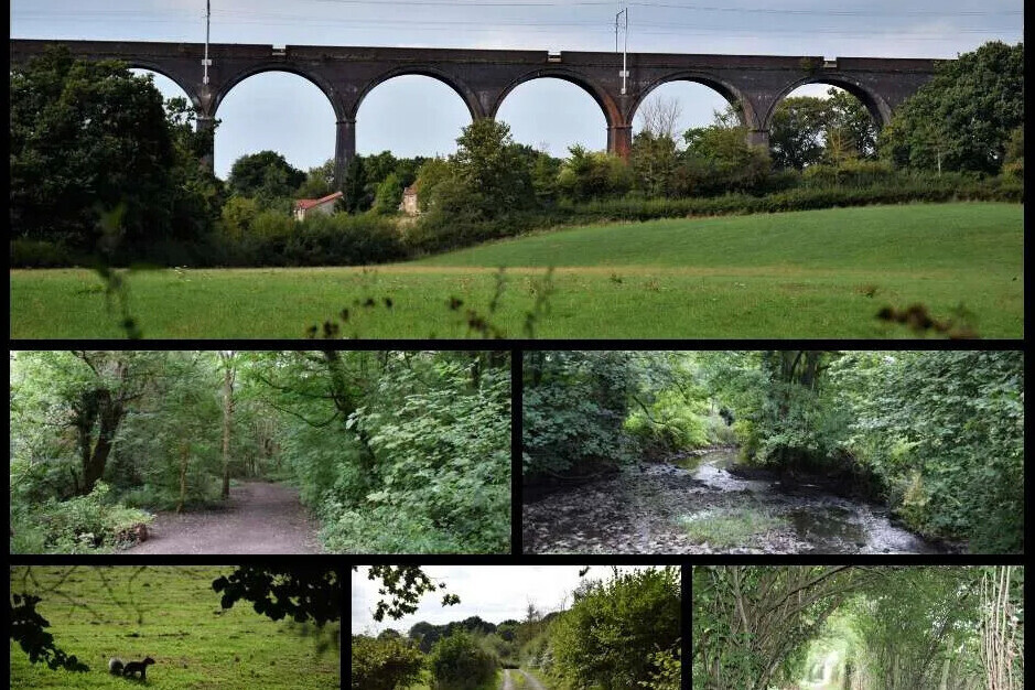 Bury Hill Farm, Winterbourne.