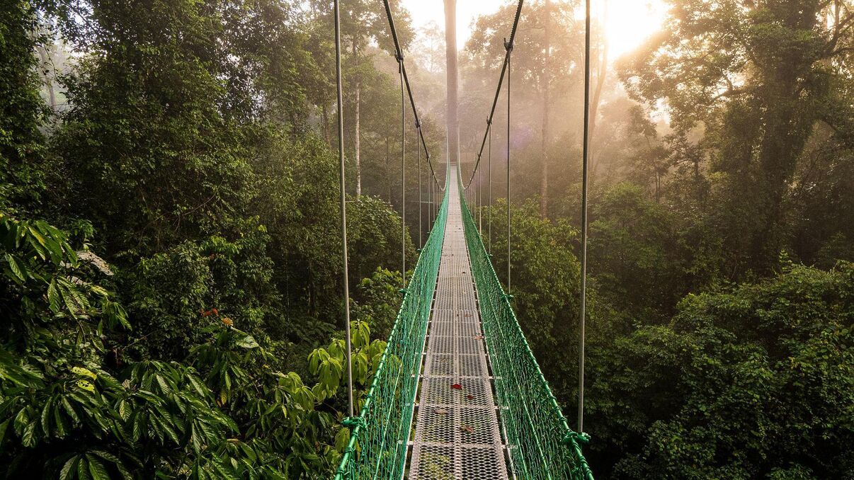 Borneo Rainforest Lodge - Danum Valley
