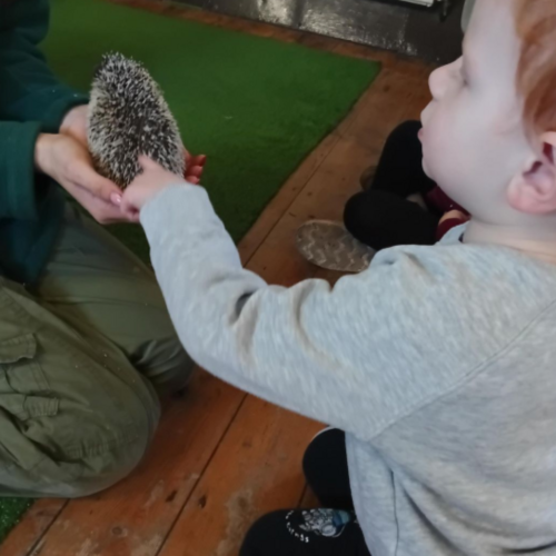Gallery  | Little Pals Nursery