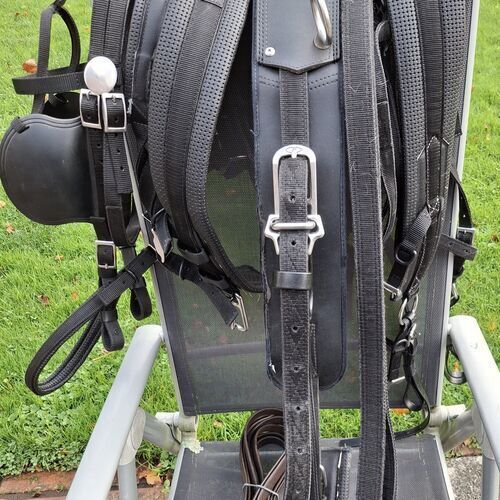 Tedex Cob Harness *Secondhand*