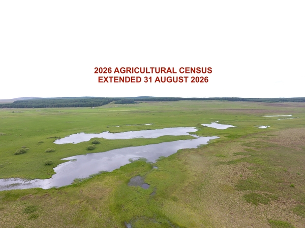 SCOTTISH AGRICULTURAL CENSUS – DEADLINE EXTENDED TO 31 AUGUST! 