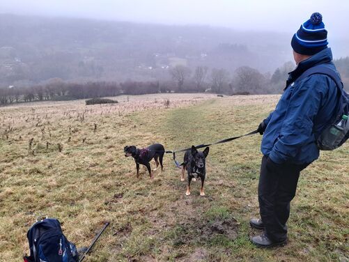 Tintern Abbey - Advent in the Valley