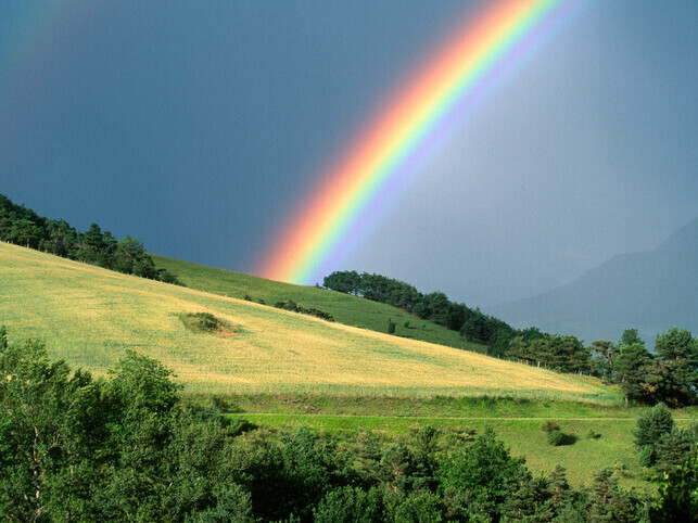 Pet Euthanasia | Rainbow Bridge Pet Euthanasia