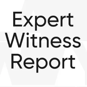 Expert Witness Report - Instructions | Tayross Associates Chartered Building Surveyors | Party Wall Rates London  | Party Wall Surveyor West London  | Building/Structural RICS Survey London