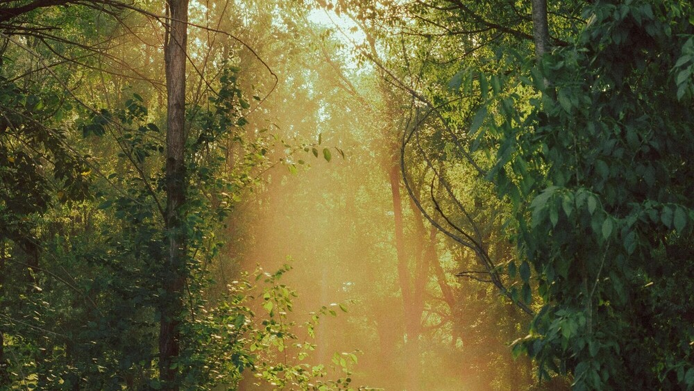 Balancing Yin and Yang