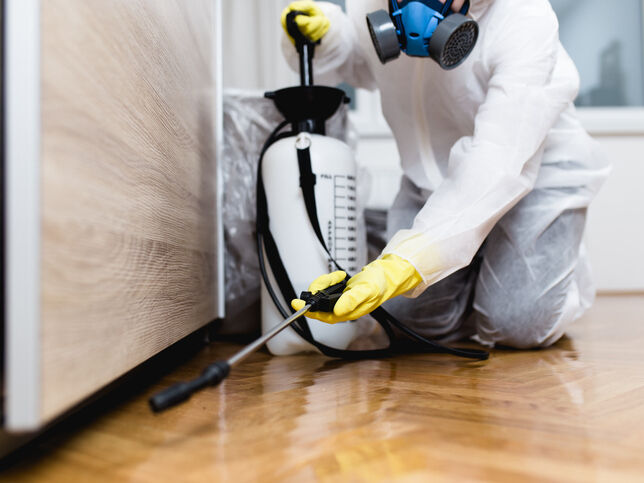 Gallery | Northdowns Pest Control Ltd | Pest control Guildford | Rodent control Guildford, Woking | Wasp nest removal Surrey