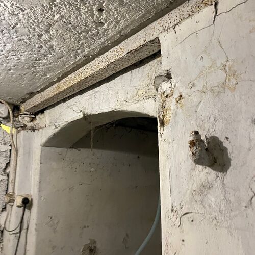 Basement in the Thames with a HRH visit