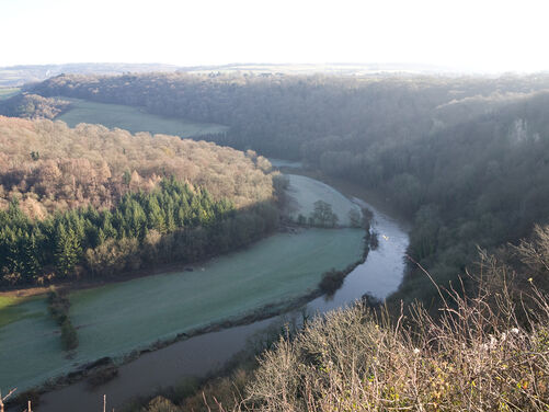 Tintern Abbey - Advent in the Valley