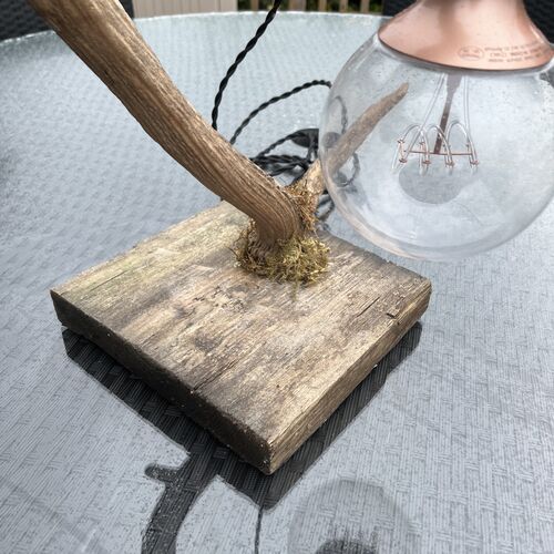 Red Deer Antler Lamp