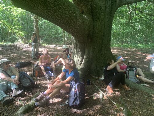 The Canterbury Trails 2026