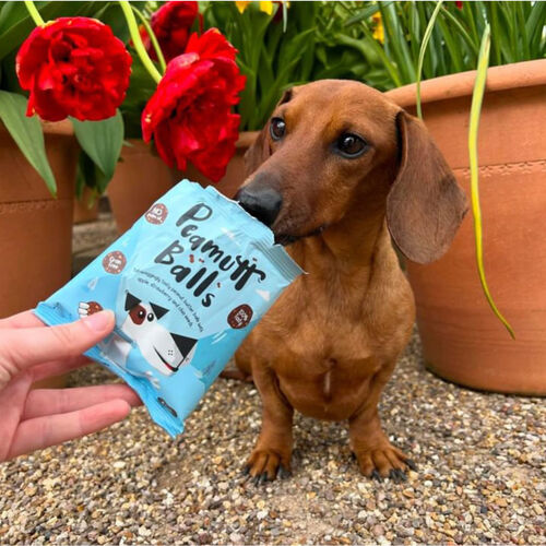 Case of Peamutt Butter Balls Dog Treats 10 x 45g