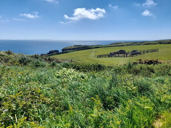 TENBY, ST DAVIDS AND THE PEMBROKESHIRE COAST PATH 17TH-24TH MAY 2025