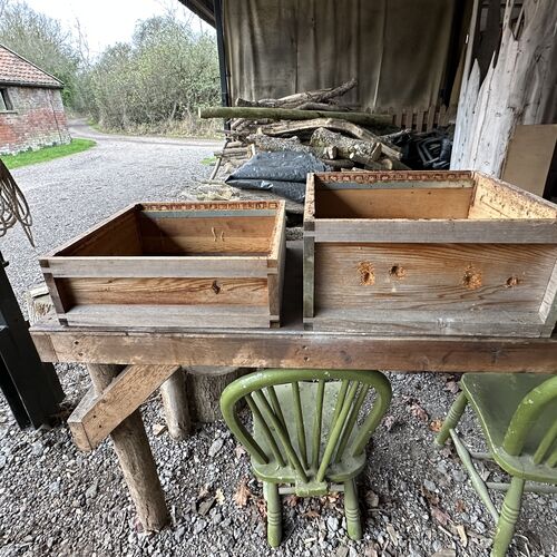 Gallery | East Anglia Apiaries | Raw honey | Local honey | Natural Honey