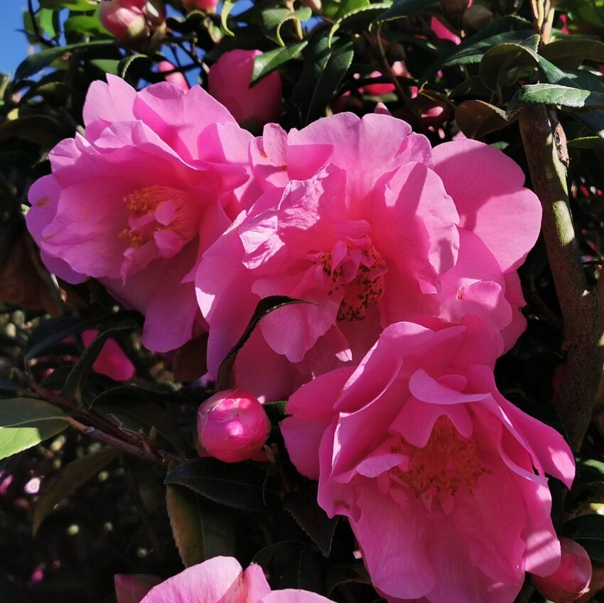 South Africa Retreat (original)