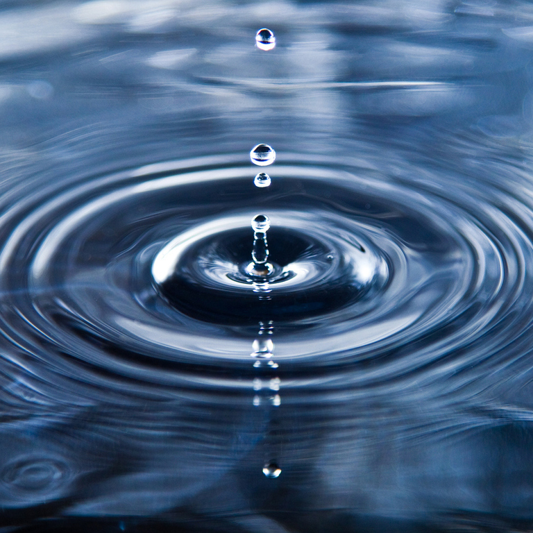 Rory’s Water Rescue  | Damp survey specialist Glasgow  | Emergency leak response Edinburgh | Leak detection Lanarkshire