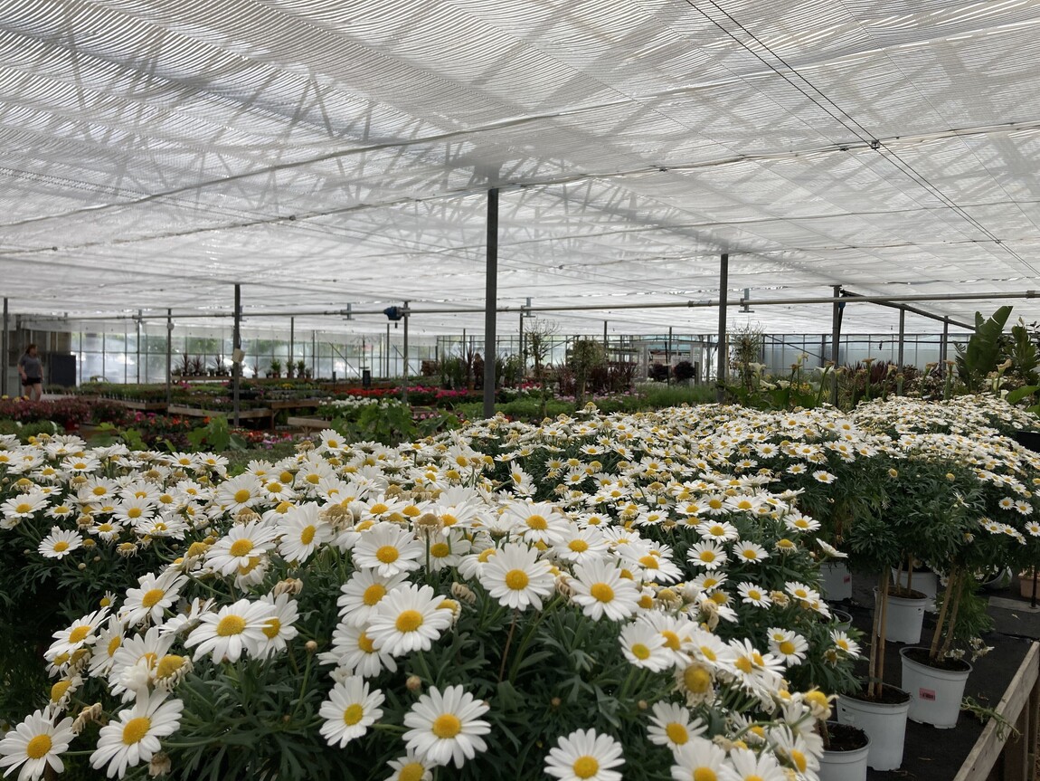 Shade &amp; thermal screens | Eureka Growing Systems Ltd | Commercial greenhouse builder England | Greenhouse shade screen installers Scotland | Commercial greenhouse repairs Wales | Commercial greenhouses UK  | Commercial greenhouses repairs UK | Commercial greenhouse shade and energy screens UK