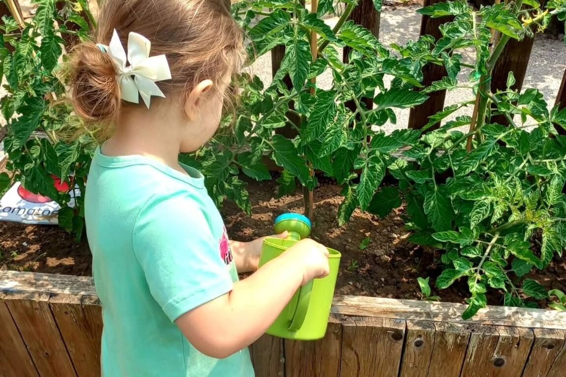 Health and wellness | Little Pals Nursery