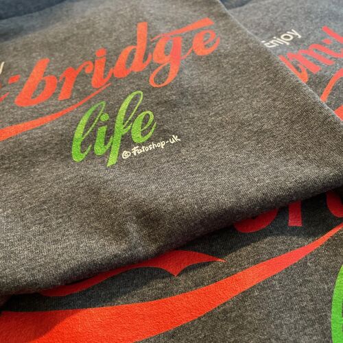 'Cambridge Life' Adults T-Shirt