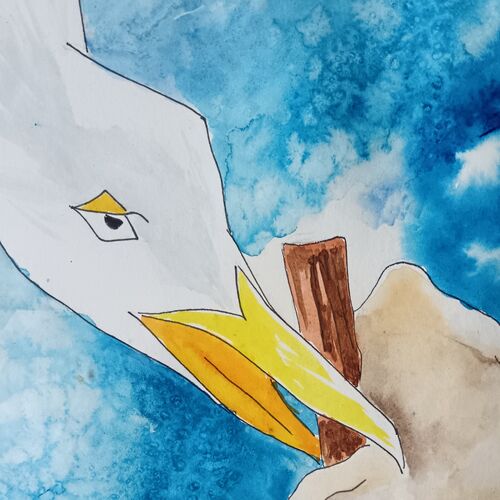 Naughty seagull