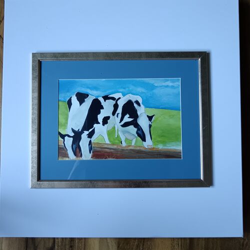 Three cows munching hay