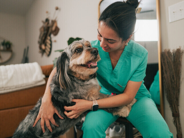 Partner With Us | Rainbow Bridge Pet Euthanasia