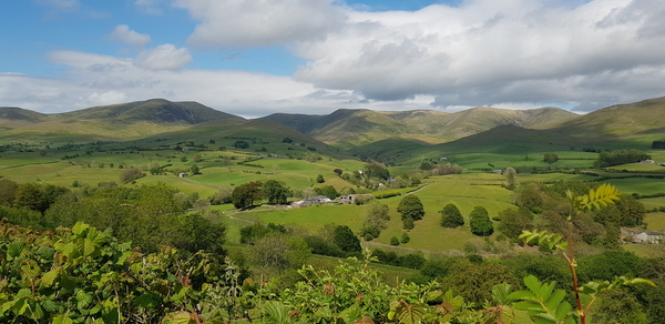 Staycation COVID-19 risks