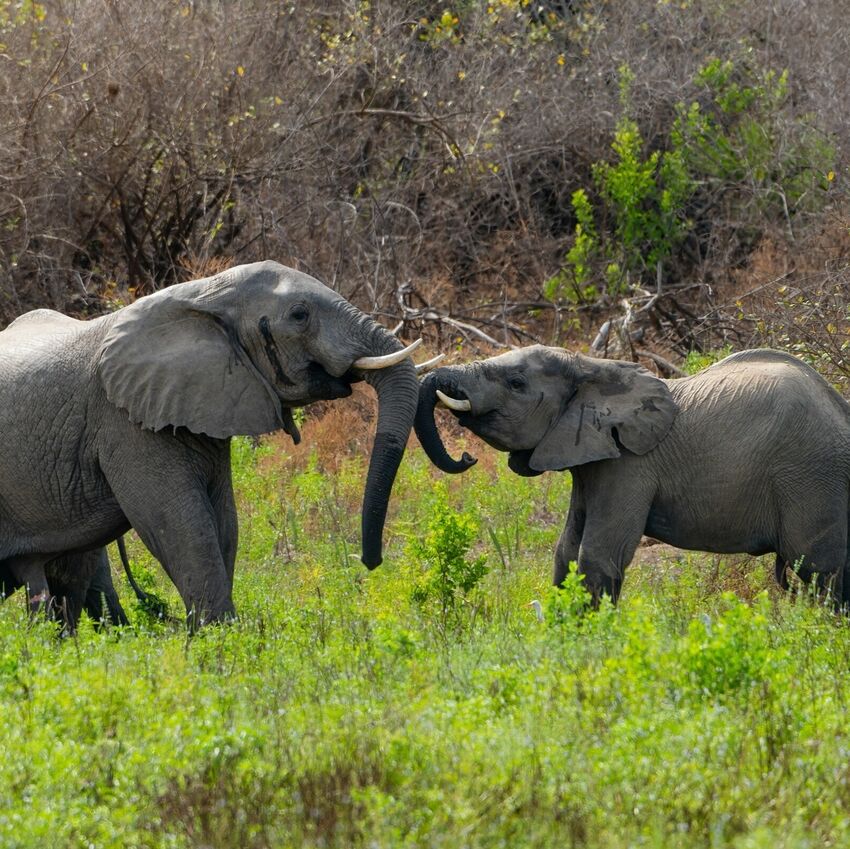 South Africa Retreat (original)