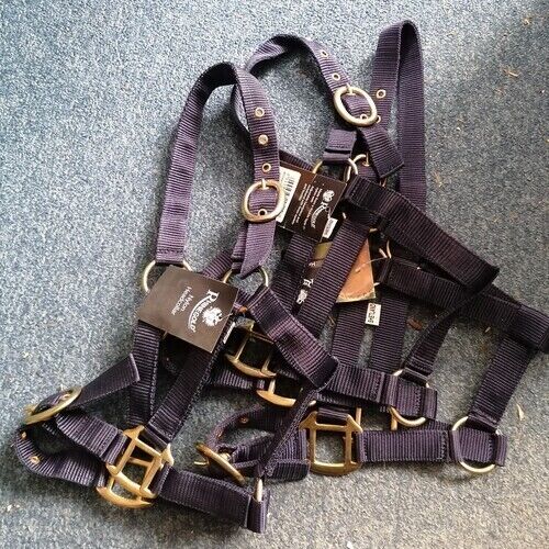 Headcollar- Shetland x 3