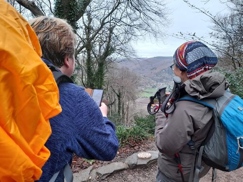Tintern Abbey - Advent in the Valley