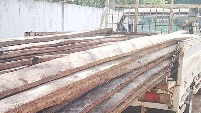 பனைமரக் குற்றிகளை கொண்டு சென்றவர் கைது