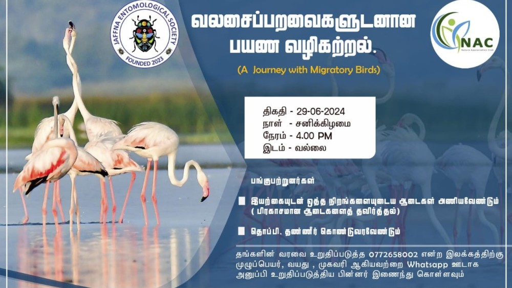 வலசை பறவைகளுடனான பயண வழிகற்றல்