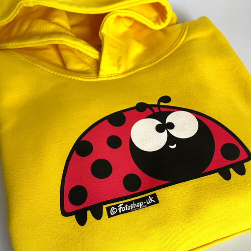 'New Ladybird' Hoodie